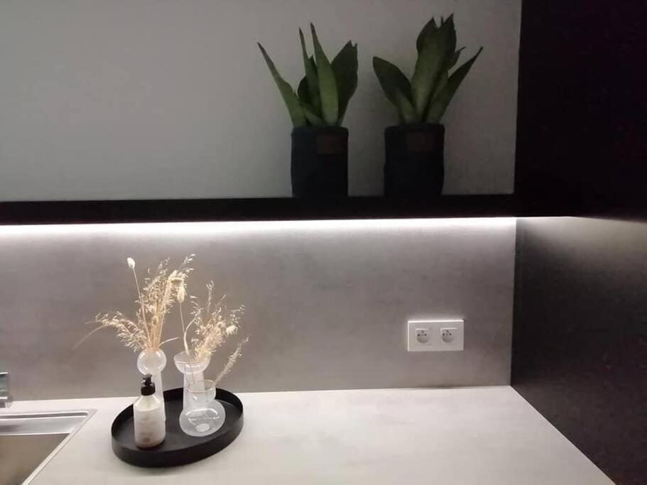 Cozb Apartman Brugge Kültér fotó