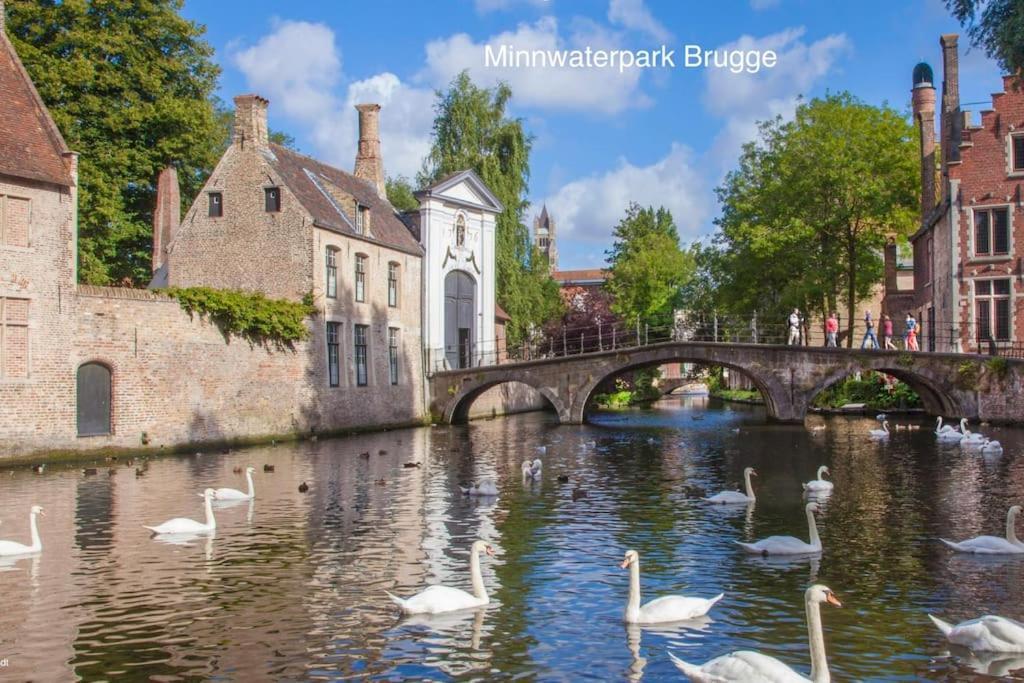 Cozb Apartman Brugge Kültér fotó